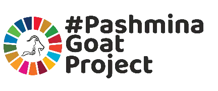 Pashmina logo